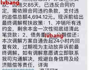 贷上钱逾期六月最新动态解析及应对策略